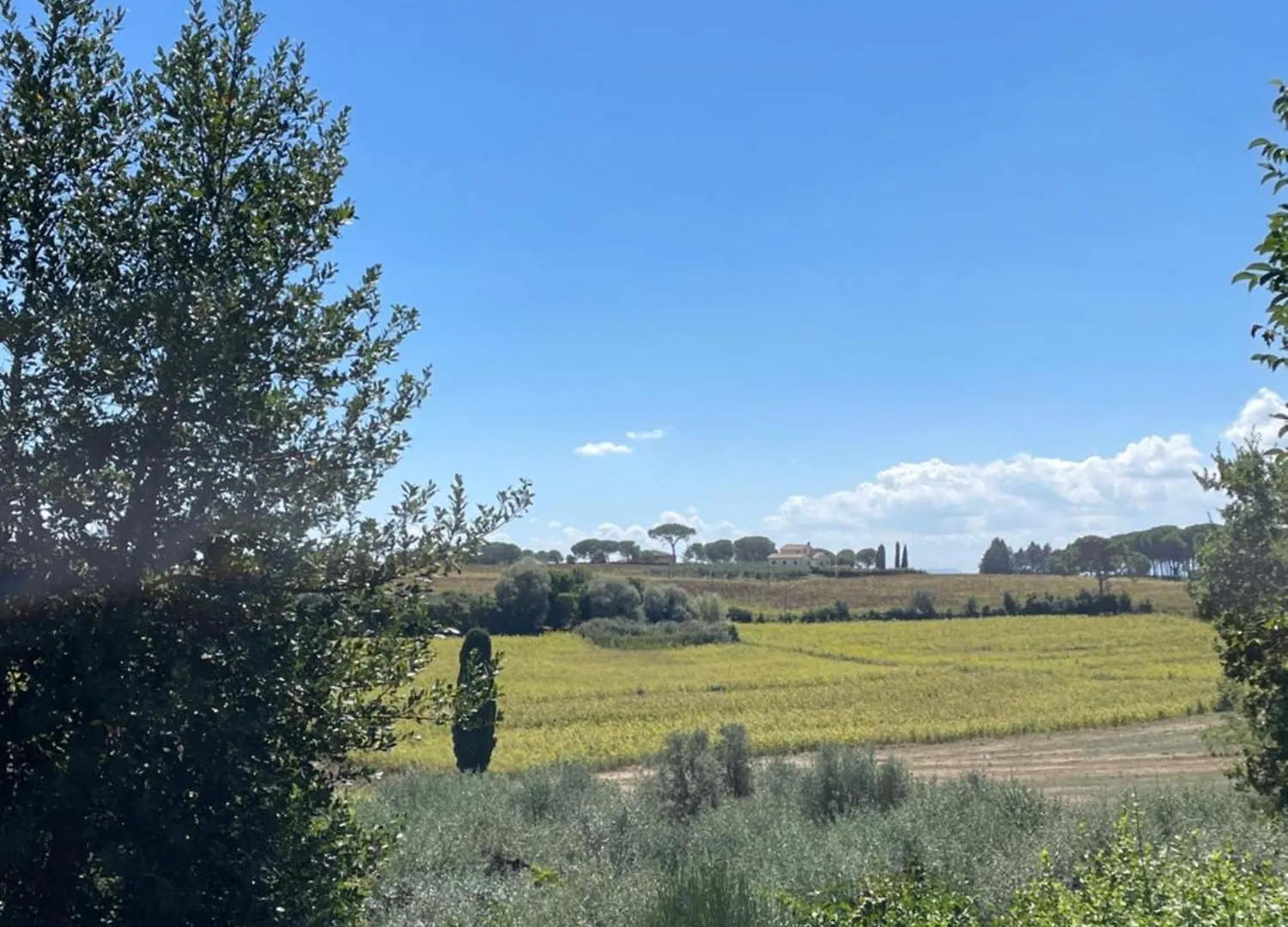 Bed & Breakfast Casale Dell'Assiolo Bed And Breakfast Castiglione del Lago